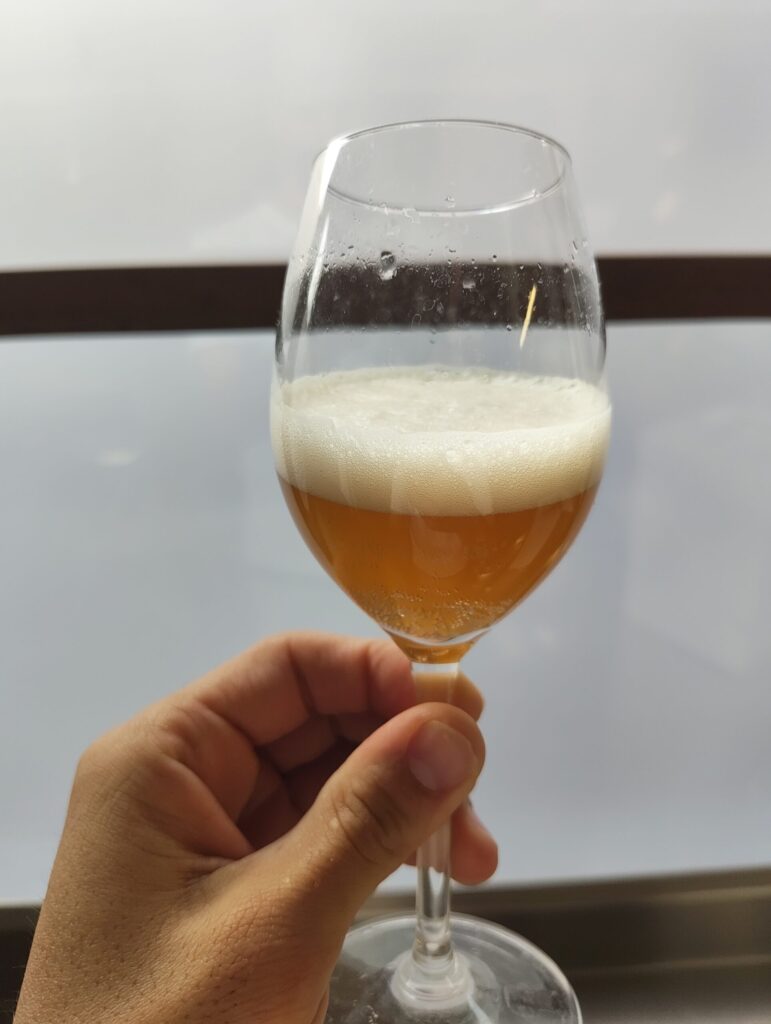 Bevanda fermentata NO-LO da silverskin di caffè