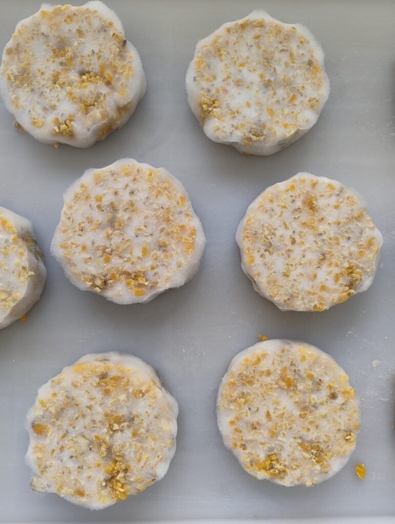 Patty di tempeh di mais