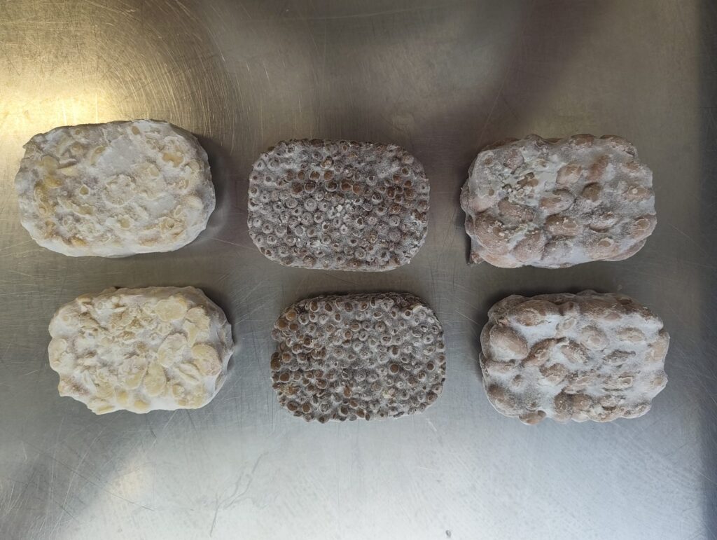 Tempeh
